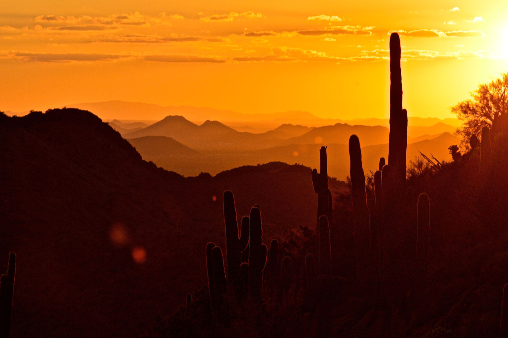 2017 Adventures in Nature photography contest
